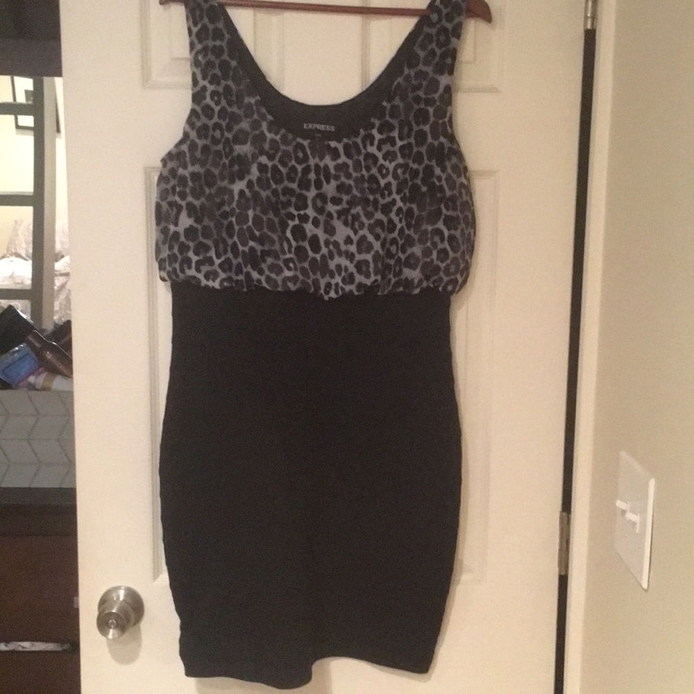 Express leopard dress
